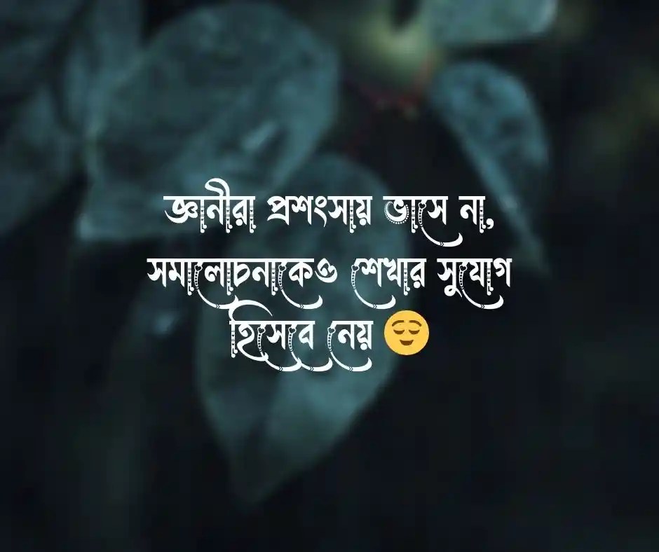 বুদ্ধিমানদের উক্তি
