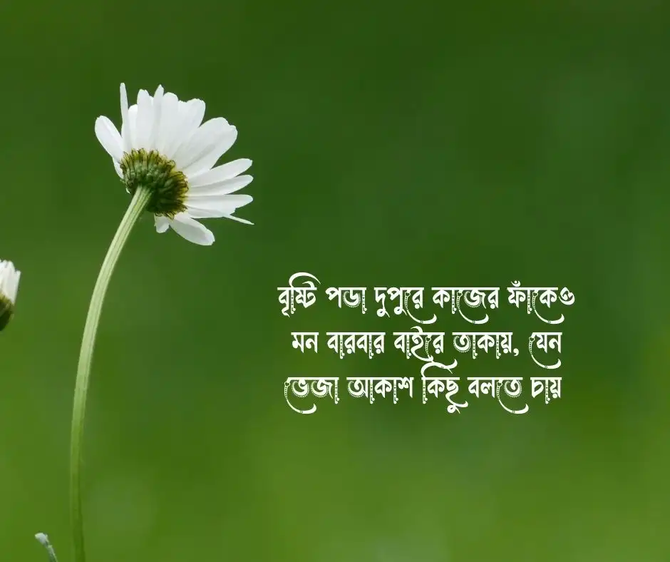 বৃষ্টি ভেজা দুপুর নিয়ে ক্যাপশন