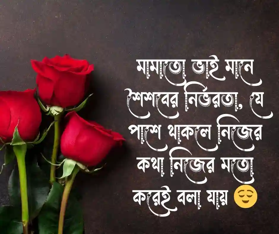 মামাতো ভাই নিয়ে ক্যাপশন