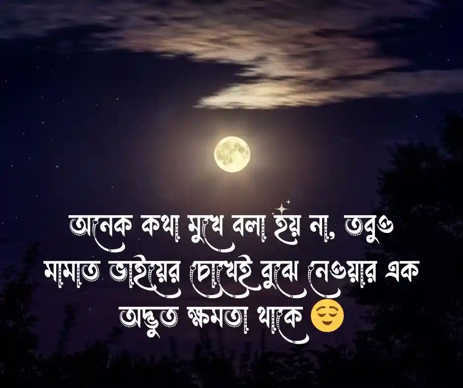 মামাত ভাই নিয়ে স্ট্যাটাস