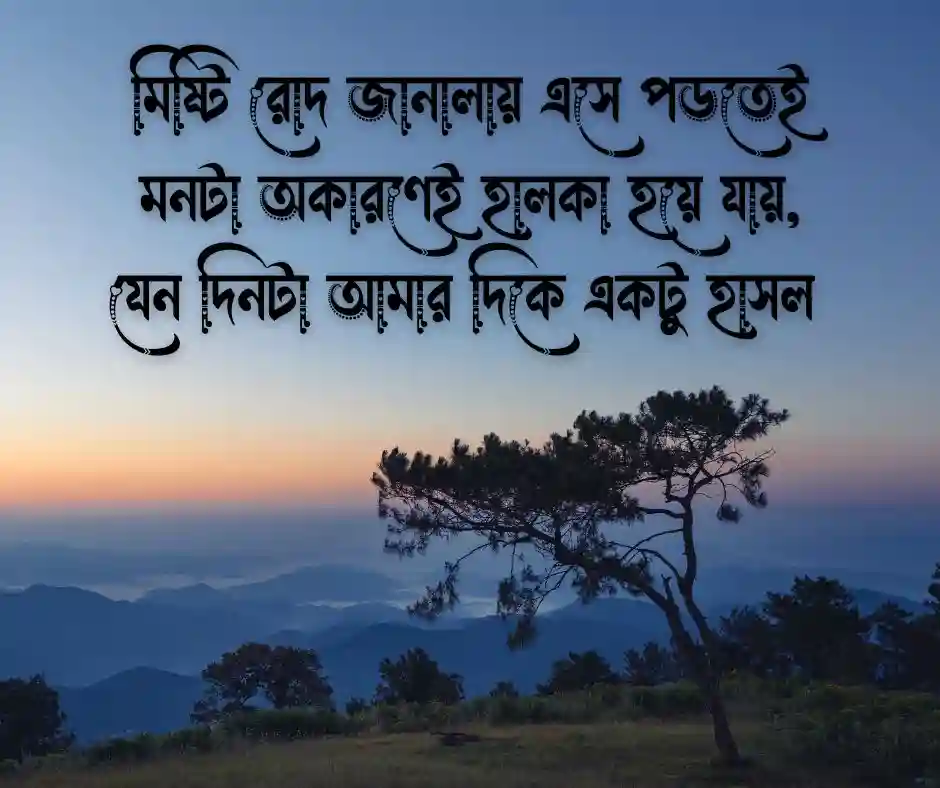 মিষ্টি রোদ নিয়ে ক্যাপশন