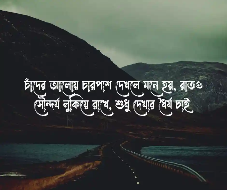 রাতের প্রকৃতি নিয়ে ক্যাপশন