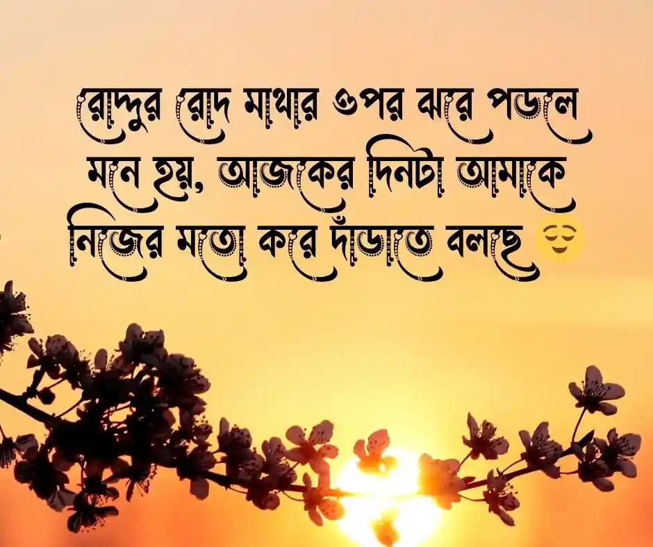 রোদ্দুর রোদ নিয়ে ক্যাপশন