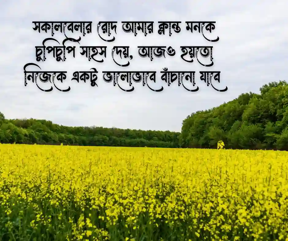 রোদ নিয়ে ক্যাপশন রোদ নিয়ে স্ট্যাটাস