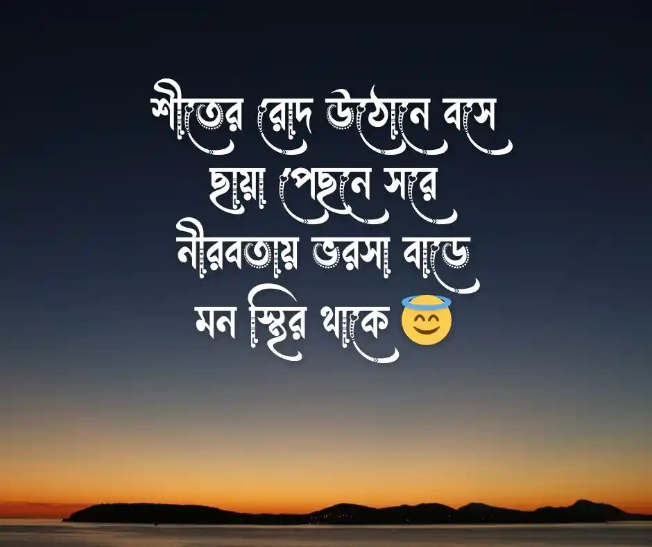 শীতের রোদ নিয়ে কবিতা