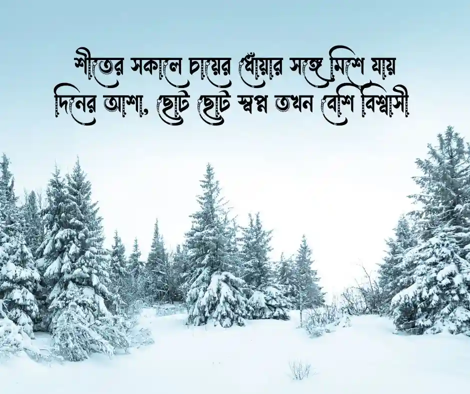 শীত নিয়ে ক্যাপশন
