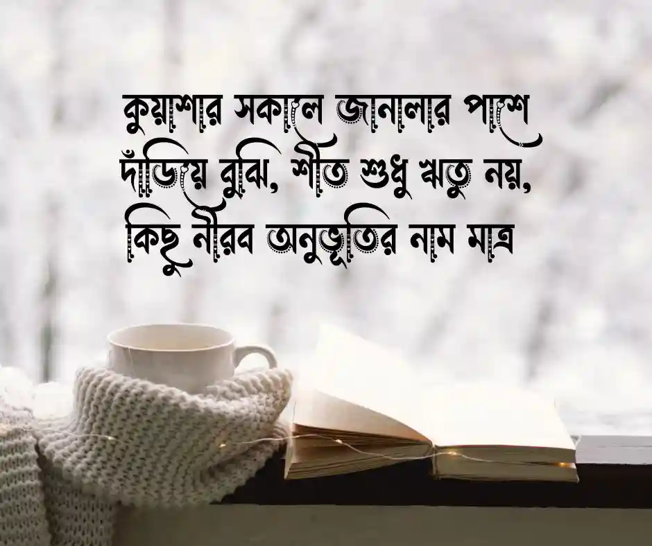 শীত নিয়ে ক্যাপশন