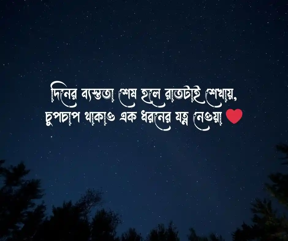 শুভ রাত্রি স্ট্যাটাস