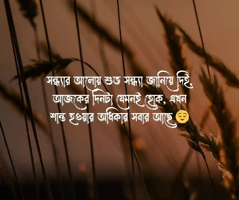 শুভ সন্ধ্যা ক্যাপশন শুভ সন্ধ্যা স্ট্যাটাস