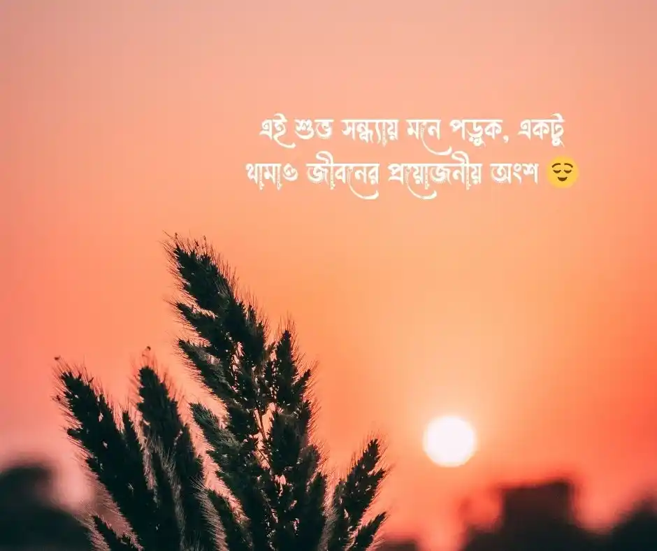 শুভ সন্ধ্যা ছবি
