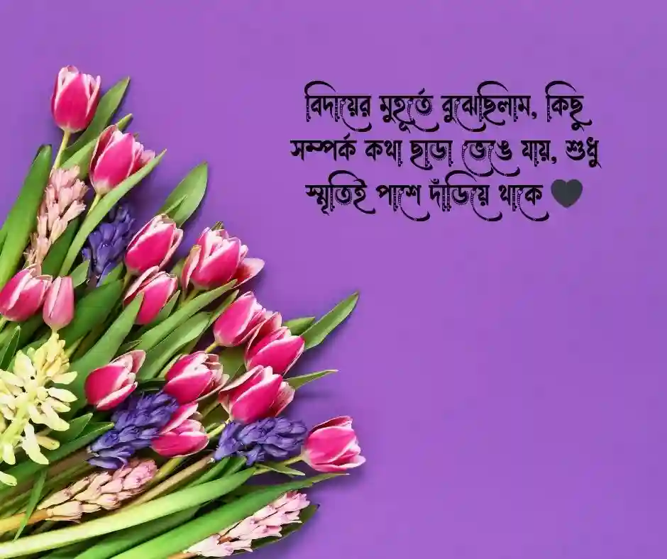 শেষ দেখা নিয়ে ক্যাপশন