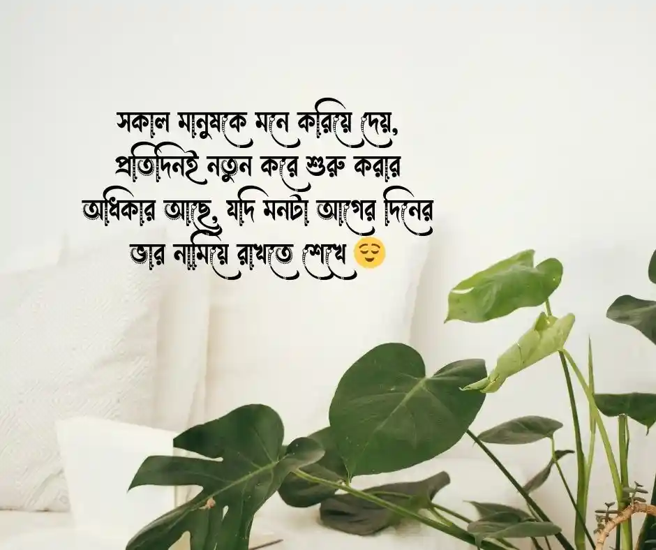 সকাল নিয়ে উক্তি