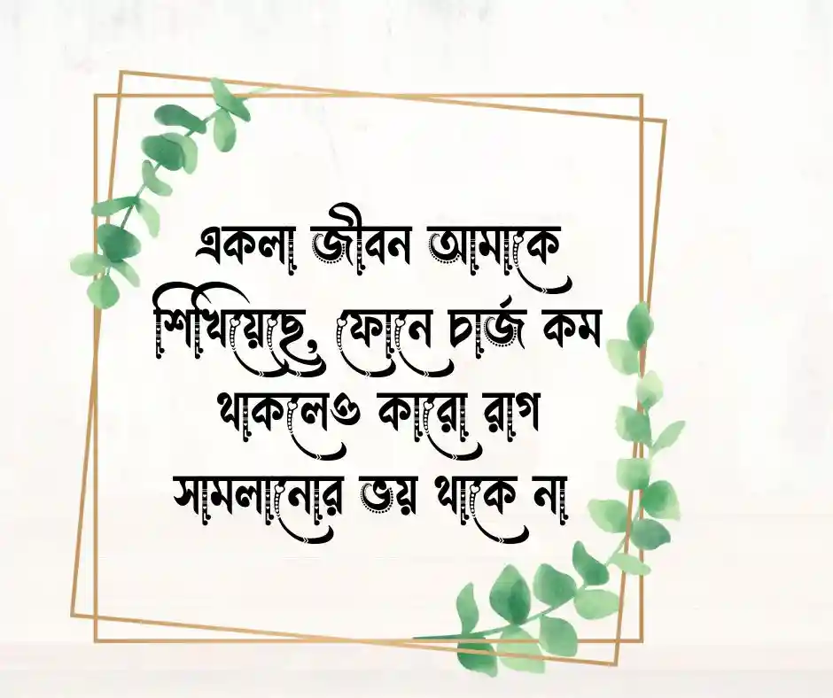 সিঙ্গেল ফানি স্ট্যাটাস