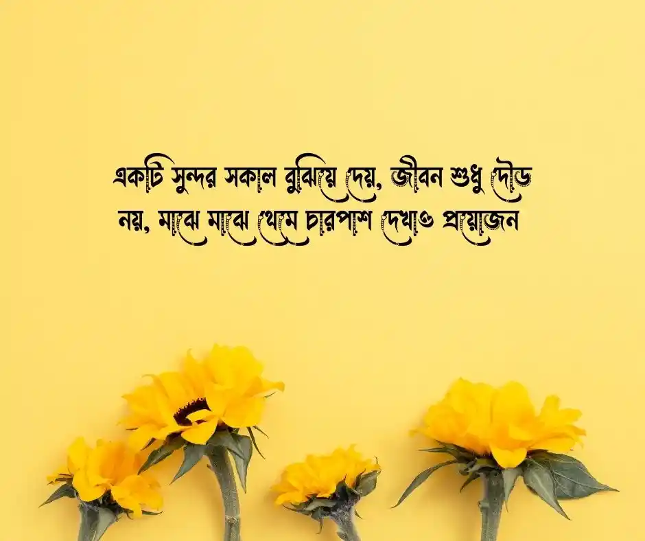 সুন্দর সকাল নিয়ে উক্তি