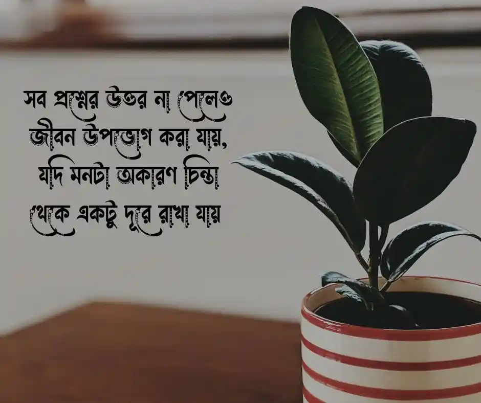হ্যাপি লাইফ ক্যাপশন