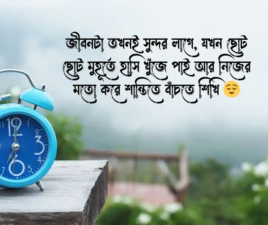 হ্যাপি লাইফ ক্যাপশন