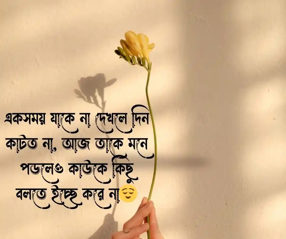 Sad ইমোশনাল স্ট্যাটাস