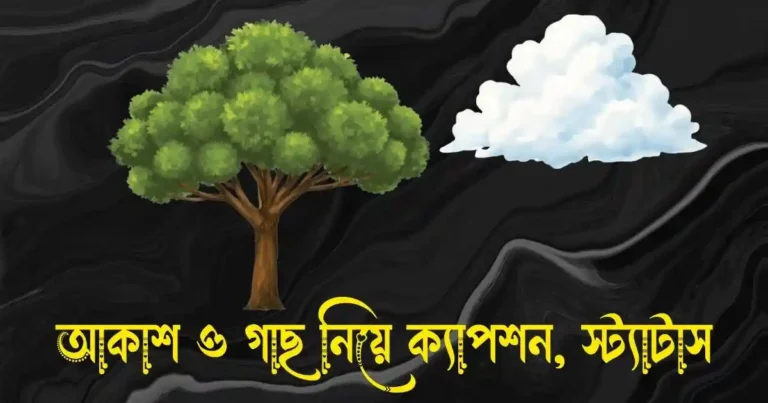 আকাশ ও গাছ নিয়ে ক্যাপশন, স্ট্যাটাস ও উক্তি