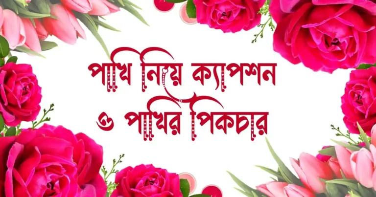 পাখি নিয়ে ক্যাপশন, স্ট্যাটাস, উক্তি, আয়াত ও পাখির পিকচার
