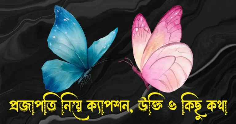 প্রজাপতি নিয়ে ক্যাপশন, স্ট্যাটাস, উক্তি ও কিছু কথা