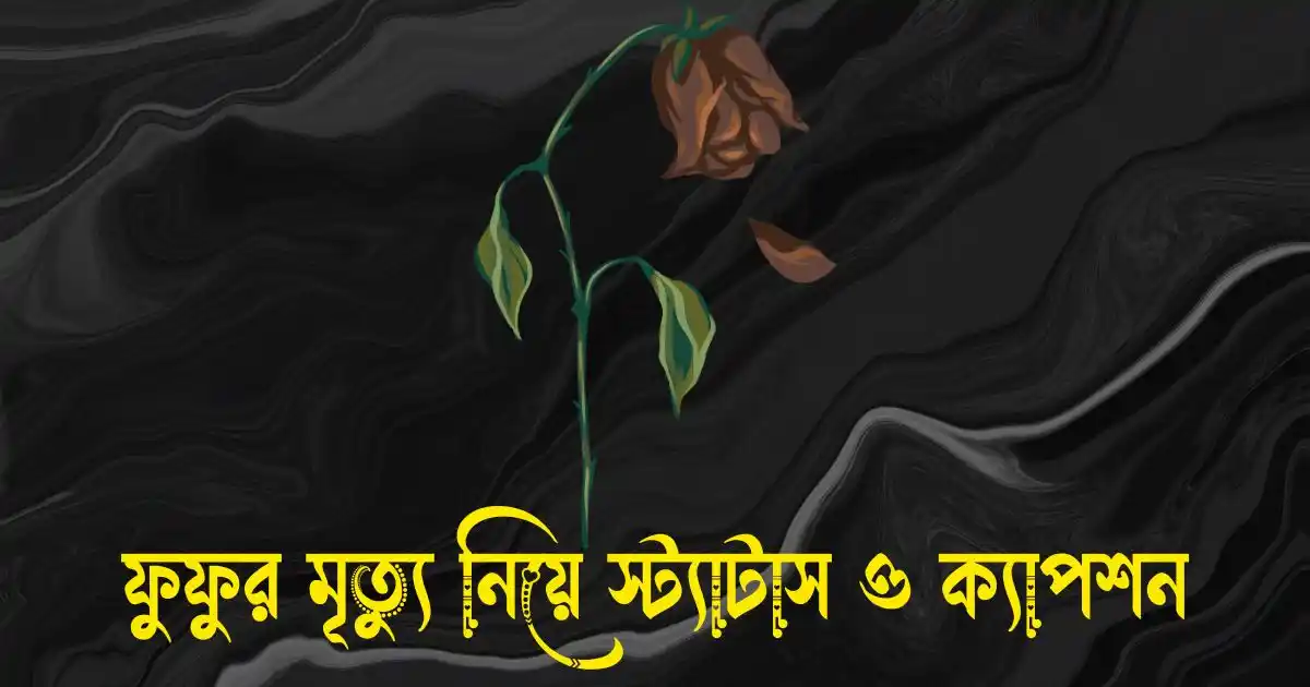 ফুফুর মৃত্যু নিয়ে স্ট্যাটাস ও ক্যাপশন