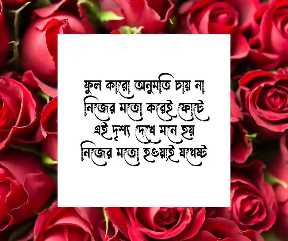 ফুল নিয়ে ছন্দ