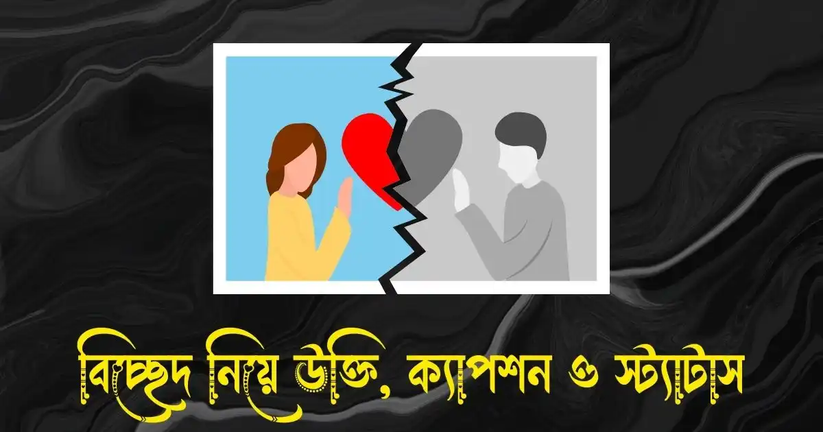 বিচ্ছেদ নিয়ে উক্তি, ক্যাপশন ও স্ট্যাটাস