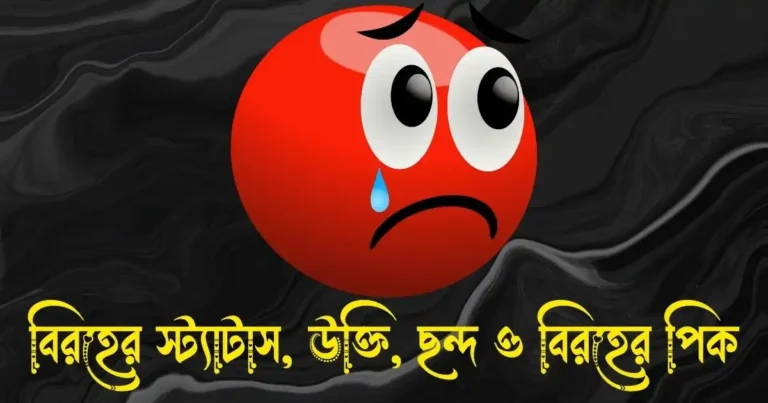 বিরহের স্ট্যাটাস, ক্যাপশন, উক্তি, ছন্দ ও বিরহের পিক