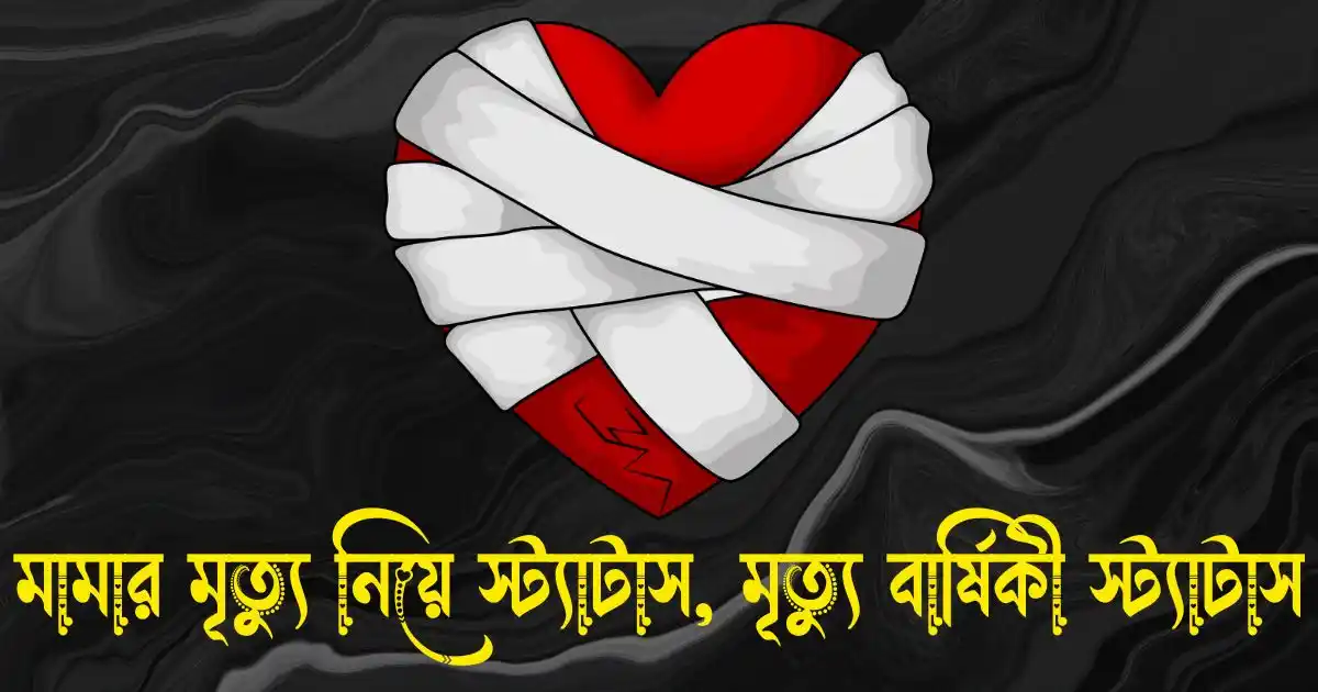 মামার মৃত্যু নিয়ে স্ট্যাটাস - মামার মৃত্যু বার্ষিকী স্ট্যাটাস