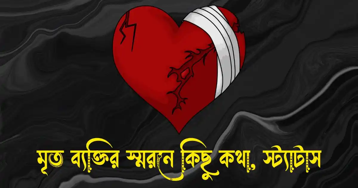মৃত ব্যক্তির স্মরনে কিছু কথা, স্ট্যাটাস
