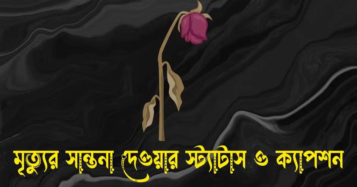 মৃত্যুর সান্তনা দেওয়ার স্ট্যাটাস ও ক্যাপশন