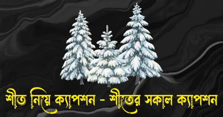 শীত নিয়ে ক্যাপশন - শীতের সকাল ক্যাপশন
