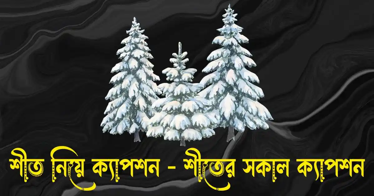 শীত নিয়ে ক্যাপশন - শীতের সকাল ক্যাপশন