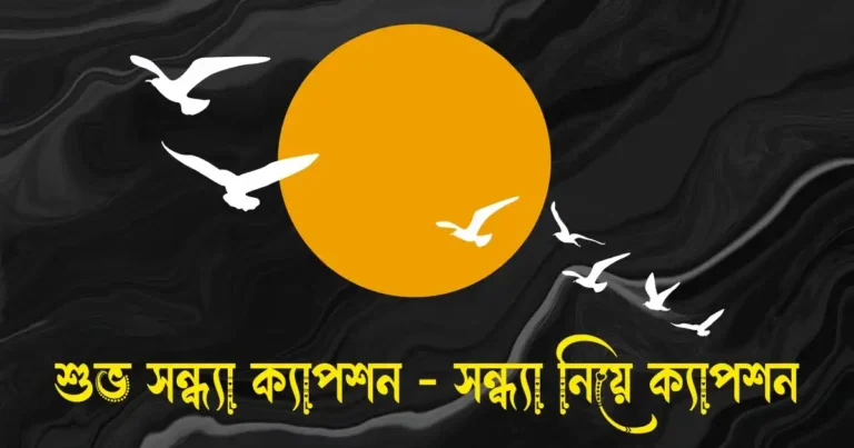 শুভ সন্ধ্যা ক্যাপশন - সন্ধ্যা নিয়ে ক্যাপশন