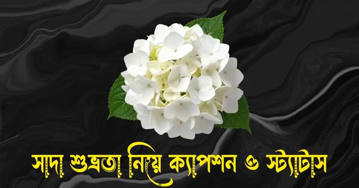 সাদা শুভ্রতা নিয়ে ক্যাপশন ও স্ট্যাটাস