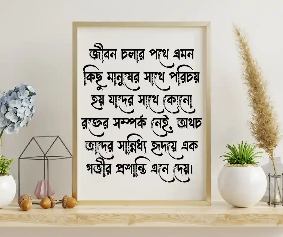 নান্দনিক স্ট্যাটাস