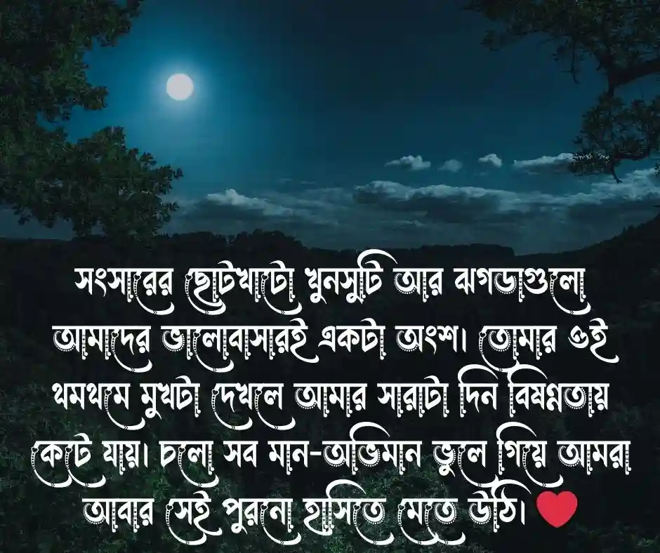 বউয়ের রাগ ভাঙ্গানোর এসএমএস