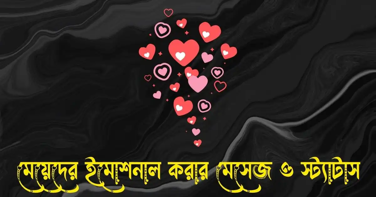 মেয়েদের ইমোশনাল করার মেসেজ ও স্ট্যাটাস