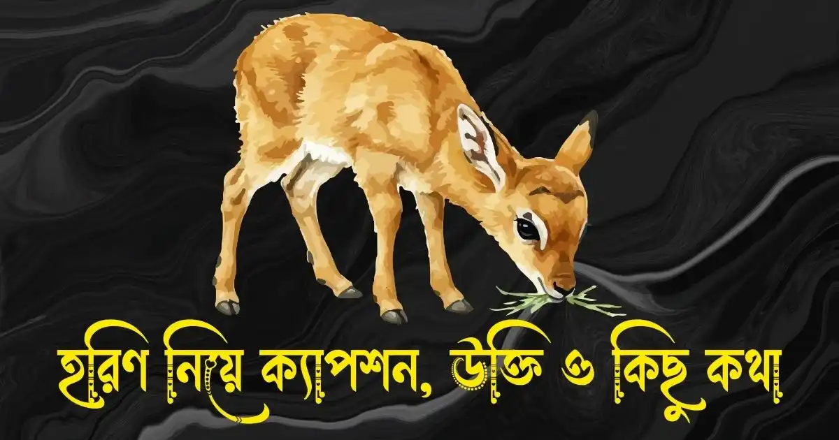 হরিণ নিয়ে ক্যাপশন, উক্তি ও কিছু কথা